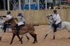 Oxford Polo 2023_01_08 0132